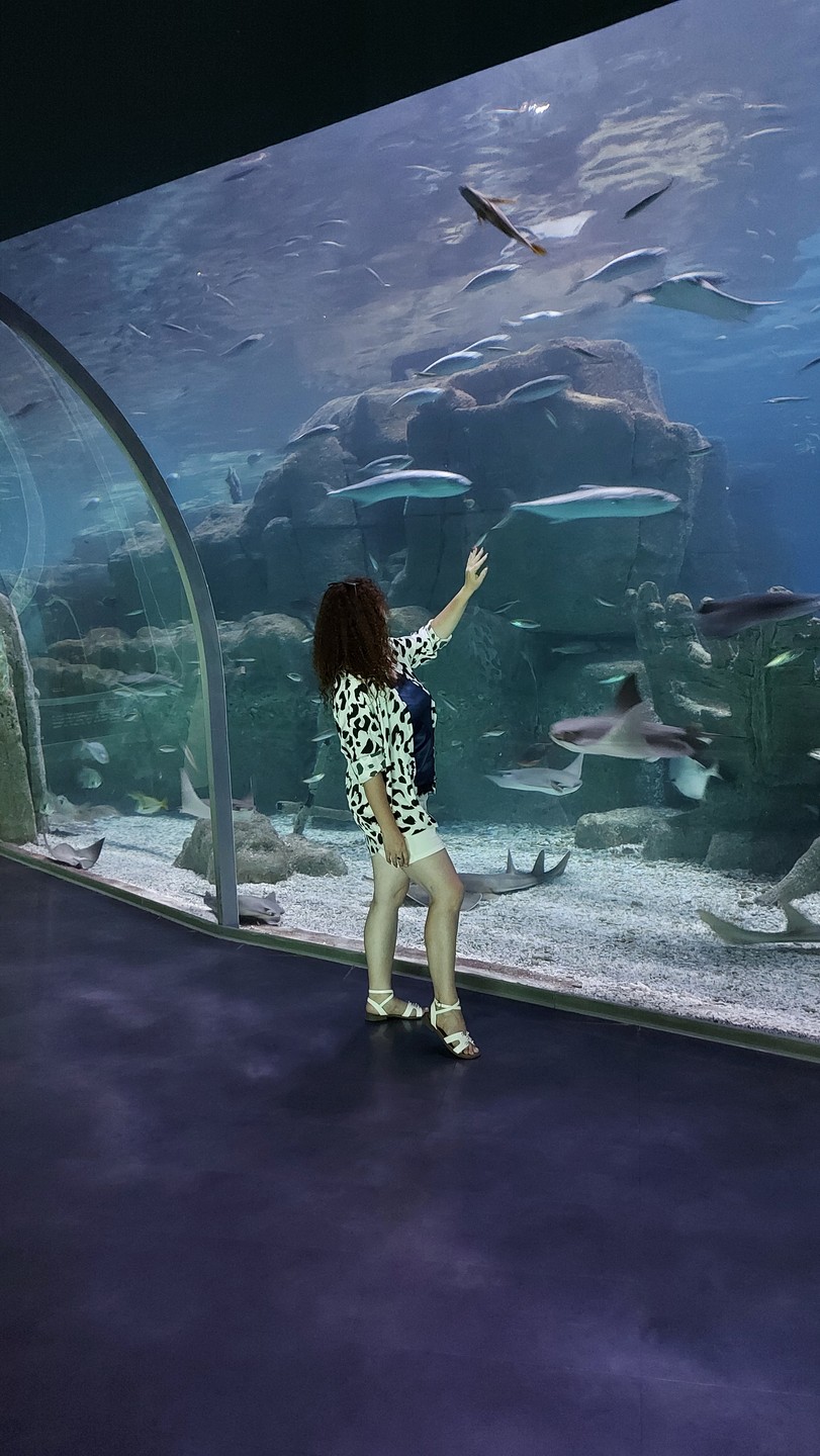 Были в июле в Стамбуле. Посетили данную экскурсию. Вопросов к организаторам в принципе нет, все понравилось