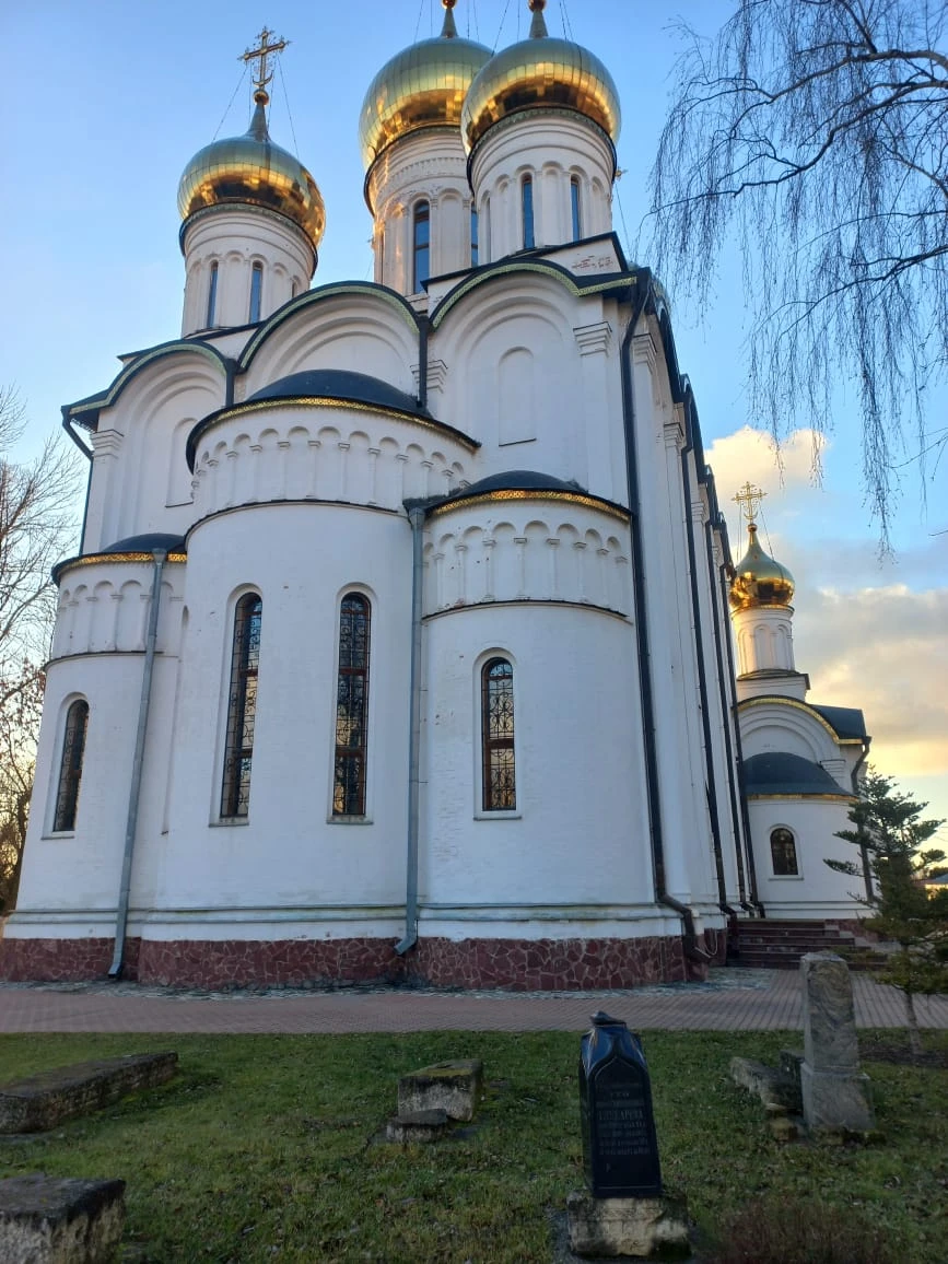 Бронировала экскурсию для родителей, это был подарок папе на день рождения. Им очень понравилось и формат