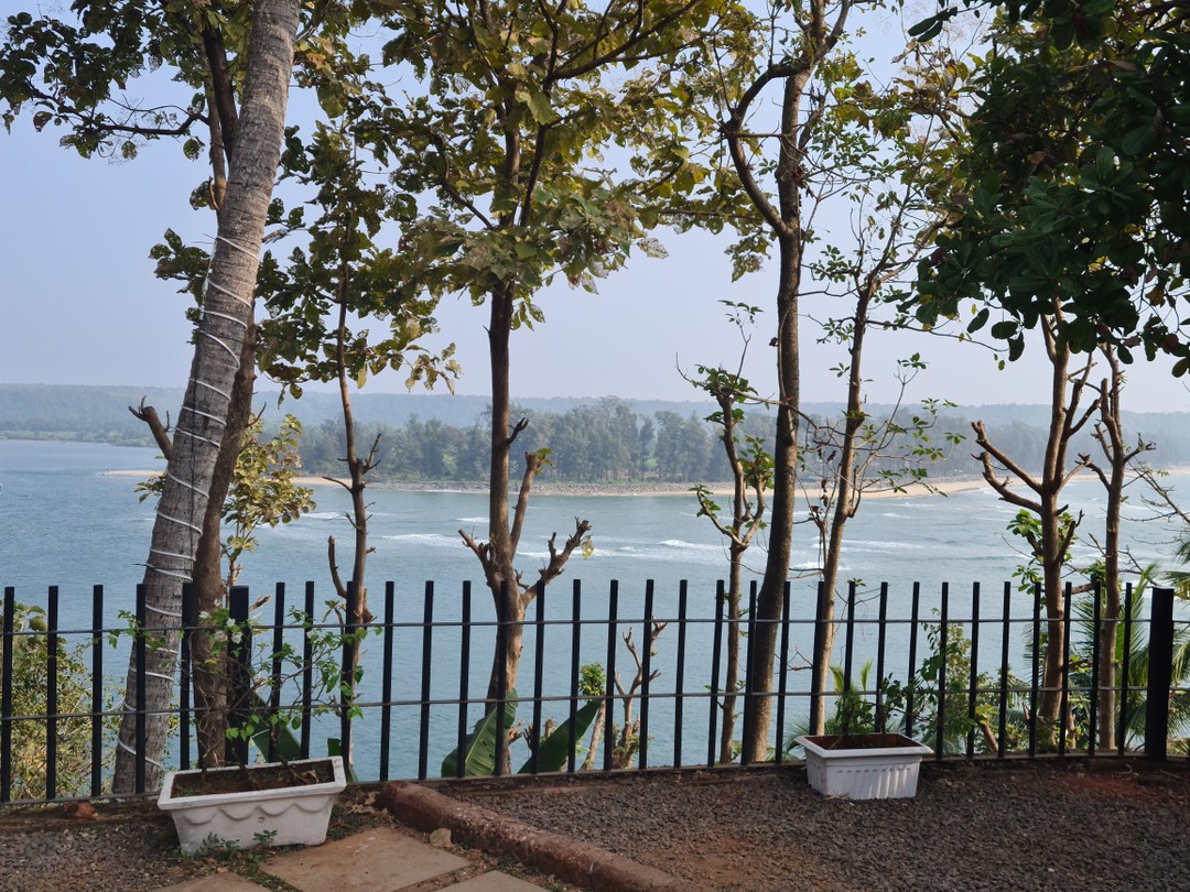 Прекрасная экскурсия. Хорошая, чёткая организация. Было интересно и познавательно. Много локаций: и музей, и крокрокодилы, и