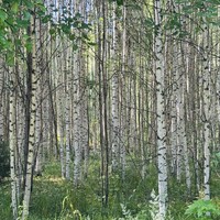 Фото отзыва 2: экскурсия "Живописное путешествие из Кирова на Чимбулат"