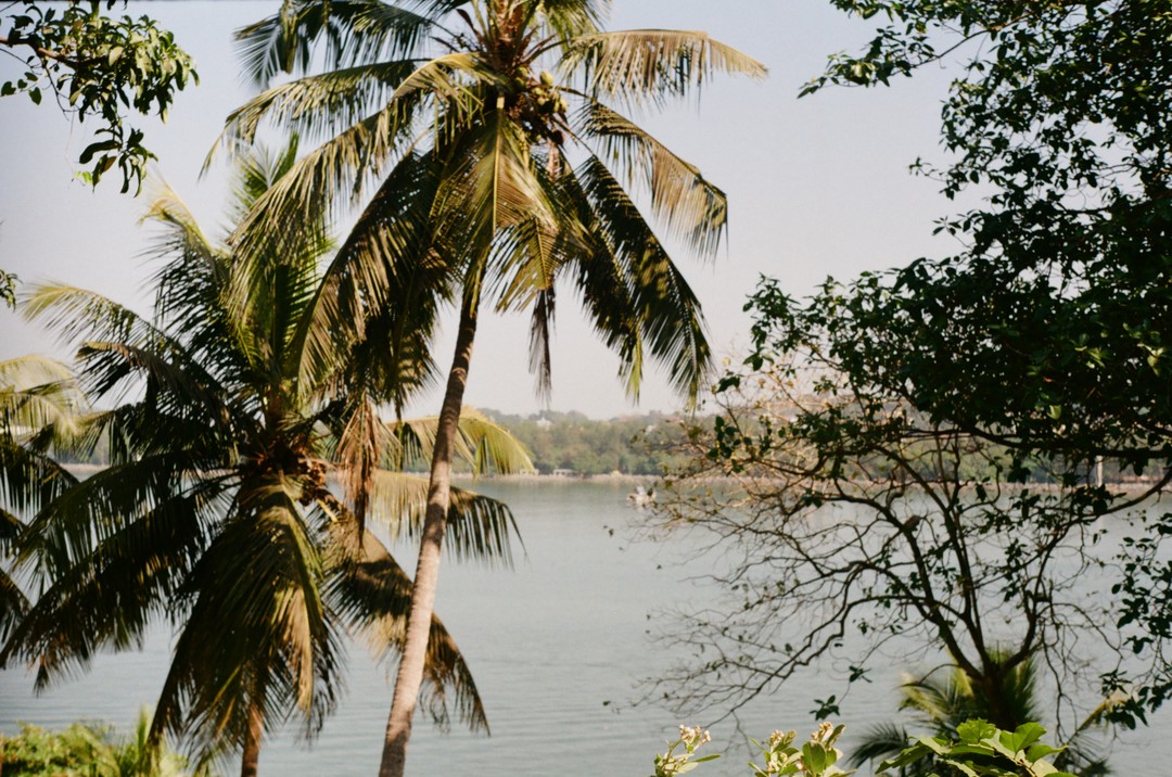 Советую! Однозначно! 🔥❤️
