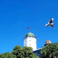 Фото отзыва 2: экскурсия "Выборг, или Средневековая Скандинавия в России"