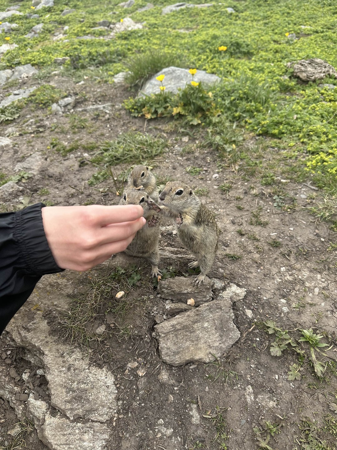Спасибо большое, нашему гиду/водителю Сергею! Сергей, настоящий профессионал своего дела, отличная, интересная и насыщенная программа, которая