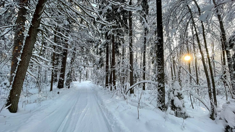 Из Дивеево - в Курихинский Знаменский женский монастырь