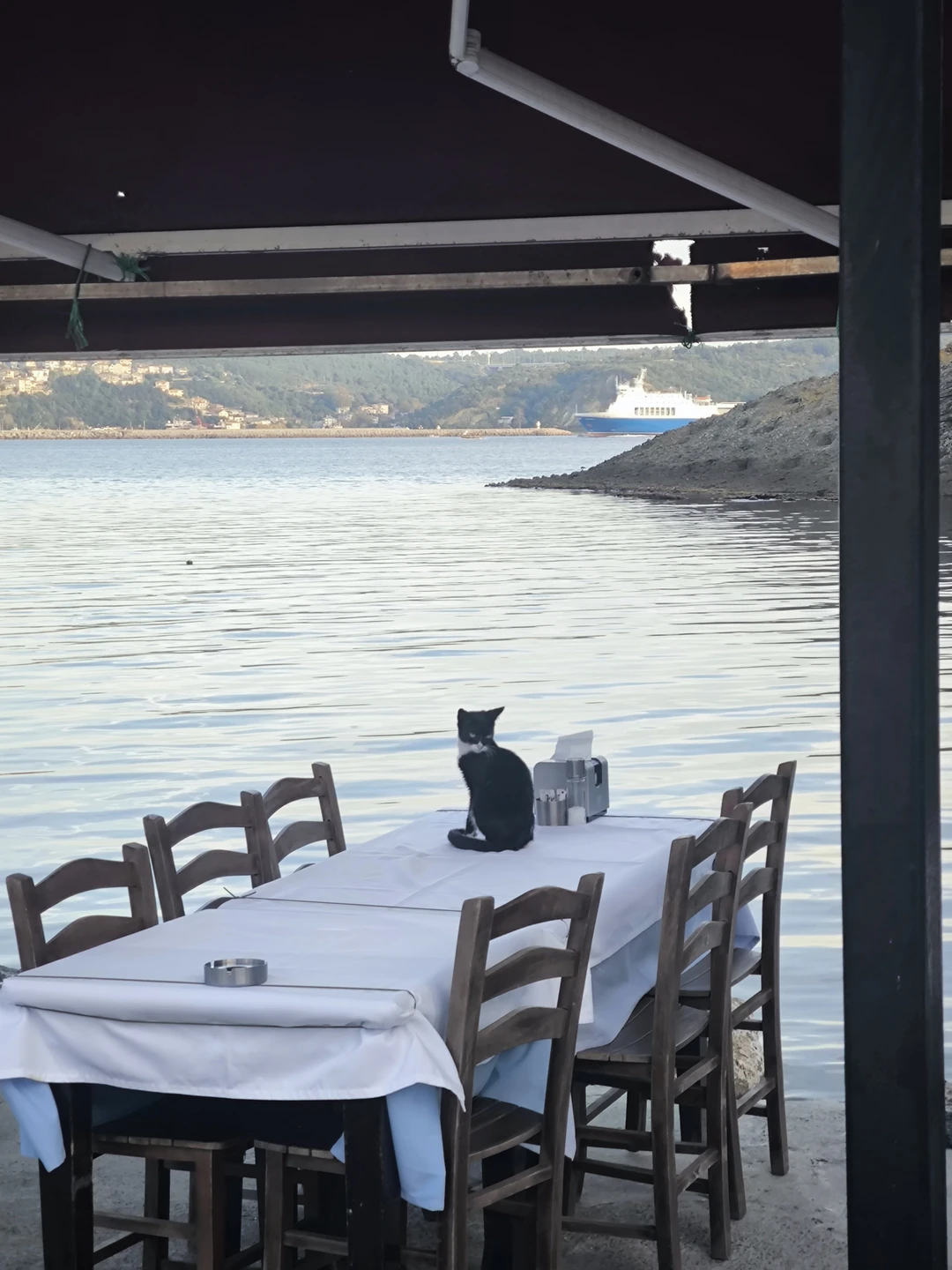 Это был прекрасный мой день рождения. Пусть станет доброй традицией отмечать его в компании великолепной Жанны и её супруга в Стамбуле!