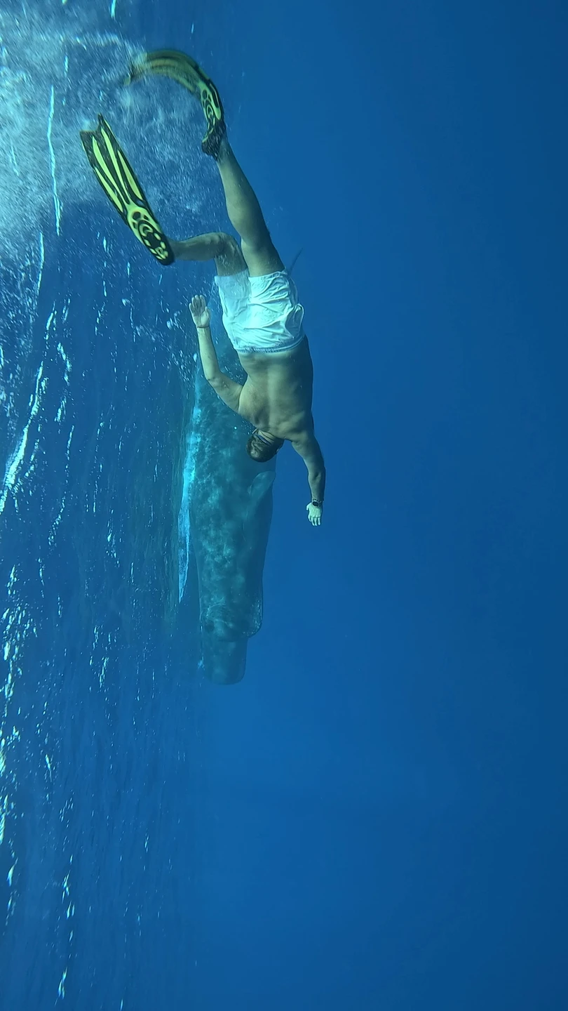 Заказывали индивидуальный тур на катере к китам. Все прошло замечательно! На рассвете собрались на берегу, затем