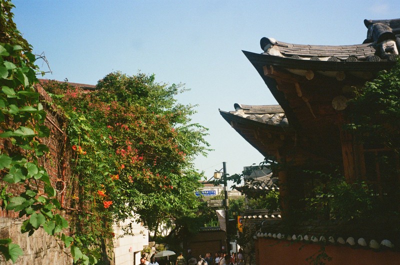 Наша экскурсия по Сеулу стала одним из прекрасных впечатлений от поездки - и во многом благодаря нашему замечательному гиду Аиде.