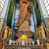 Фото отзыва 2: экскурсия "Далат на максимум (из Нячанга)"