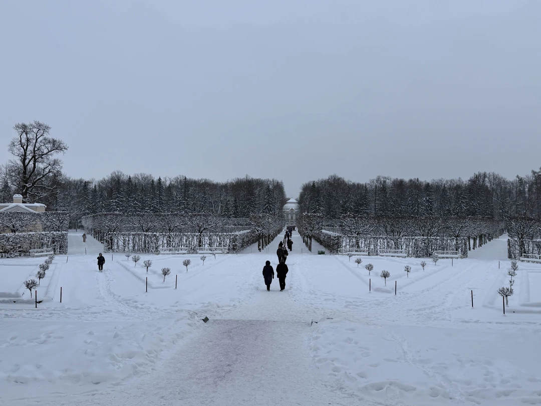 Великолепная экскурсия. Дарья чудесный рассказчик и я узнала массу интересных фактов. Для первого посещения Царского села