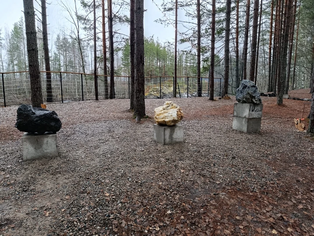 Всё отлично. Обязательно порекомендую