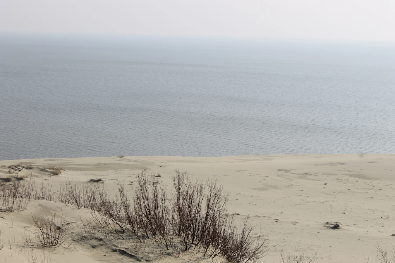 Из Калининграда - на Куршскую косу и в Зеленоградск