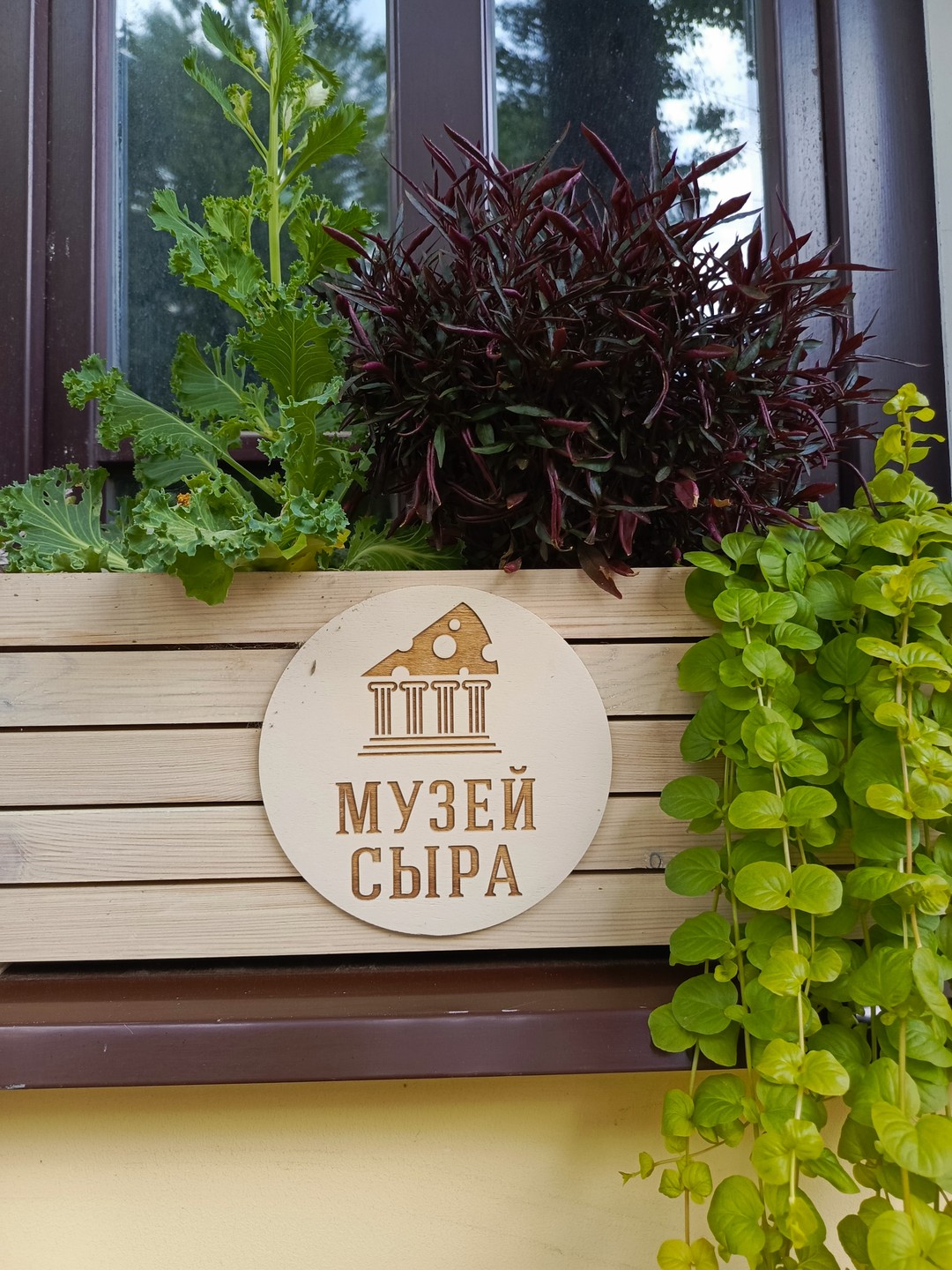 Обзорная групповая экскурсия «Кострома вдоль и поперёк» (Ольга)