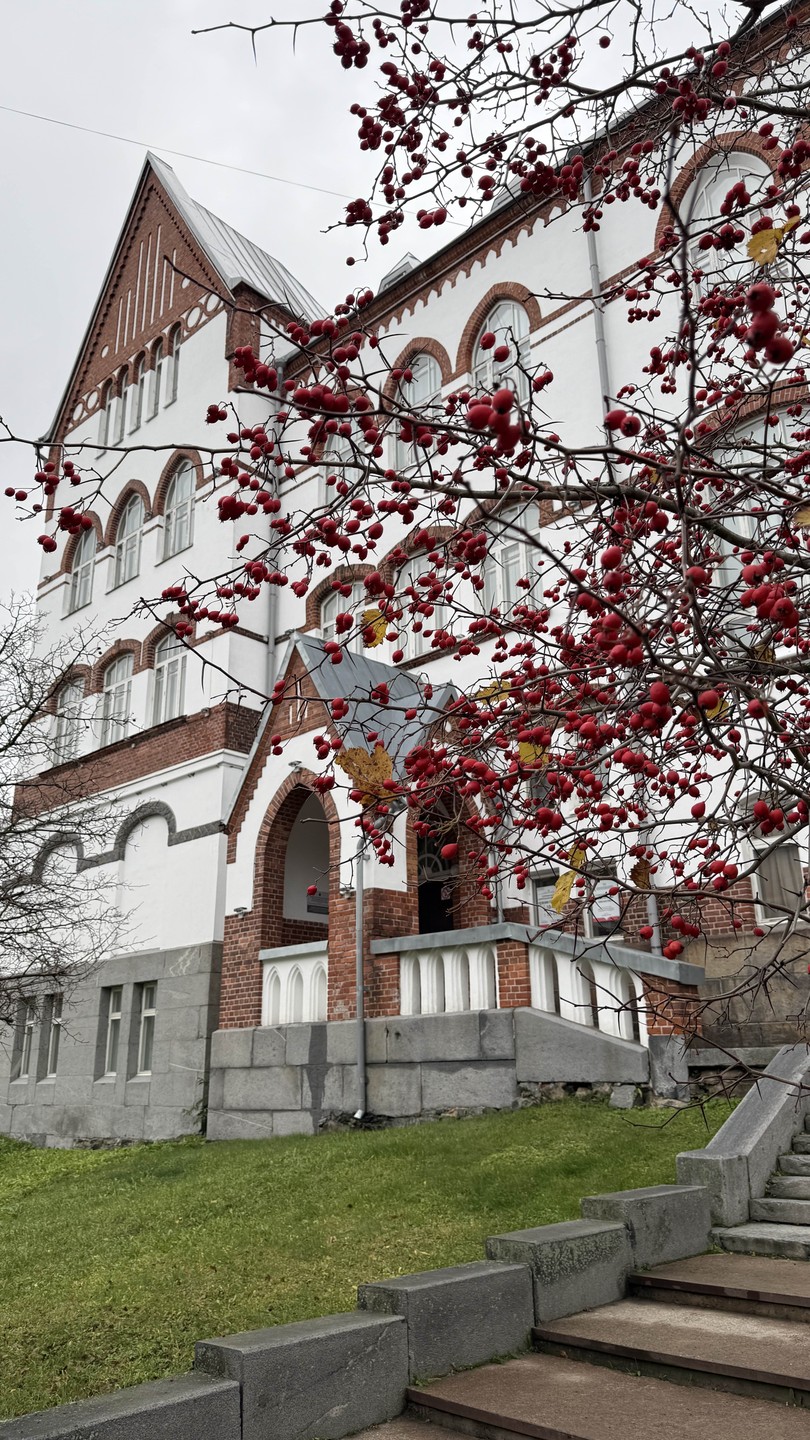 Светлана - великолепный экскурсовод. А мне есть, с чем сравнить. Она очень тактична и в рассказе