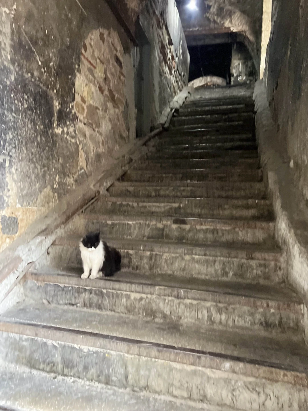 Милейшая прогулка по Базару, его закоулкам и окрестностям с остановками на кофе в местах которые точно не нашла бы самостоятельно. А виды на Босфор 😍