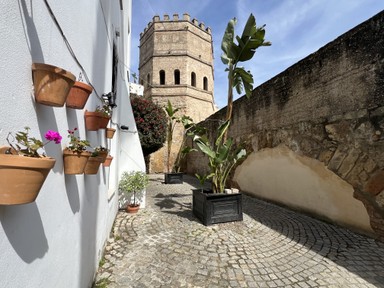 Фото отзыва 7: экскурсия ""