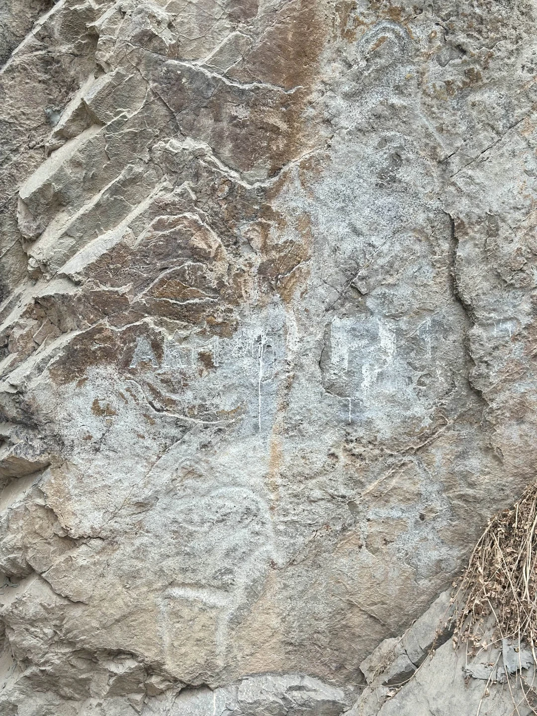 Отличная экскурсия!