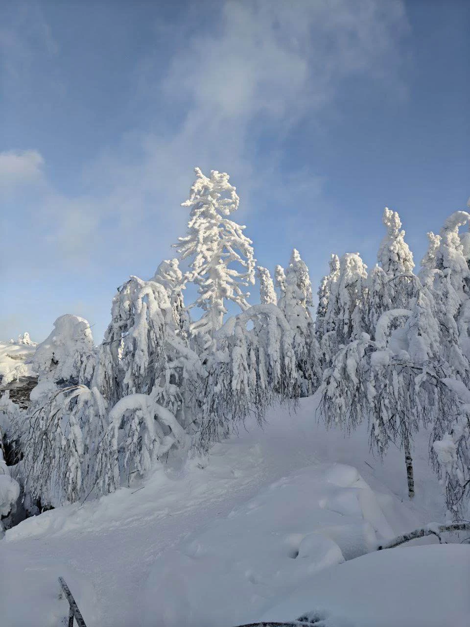 Ездили вместе в Каменный город и к Усьвинским столбам. Замечательный гид - внимательный и знающий, с
