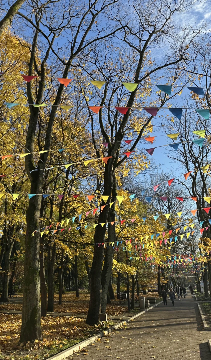 Душевная прогулка по уютным улочкам Амалиенау. Атмосферно и интересно. Спасибо Евгению за информацию о районе, структурированность
