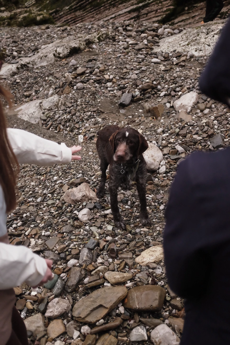 Огромное спасибо Николаю за потрясающую экскурсию! Остались в сильном восторге с группой, все было на высшем уровне