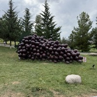 reviews img