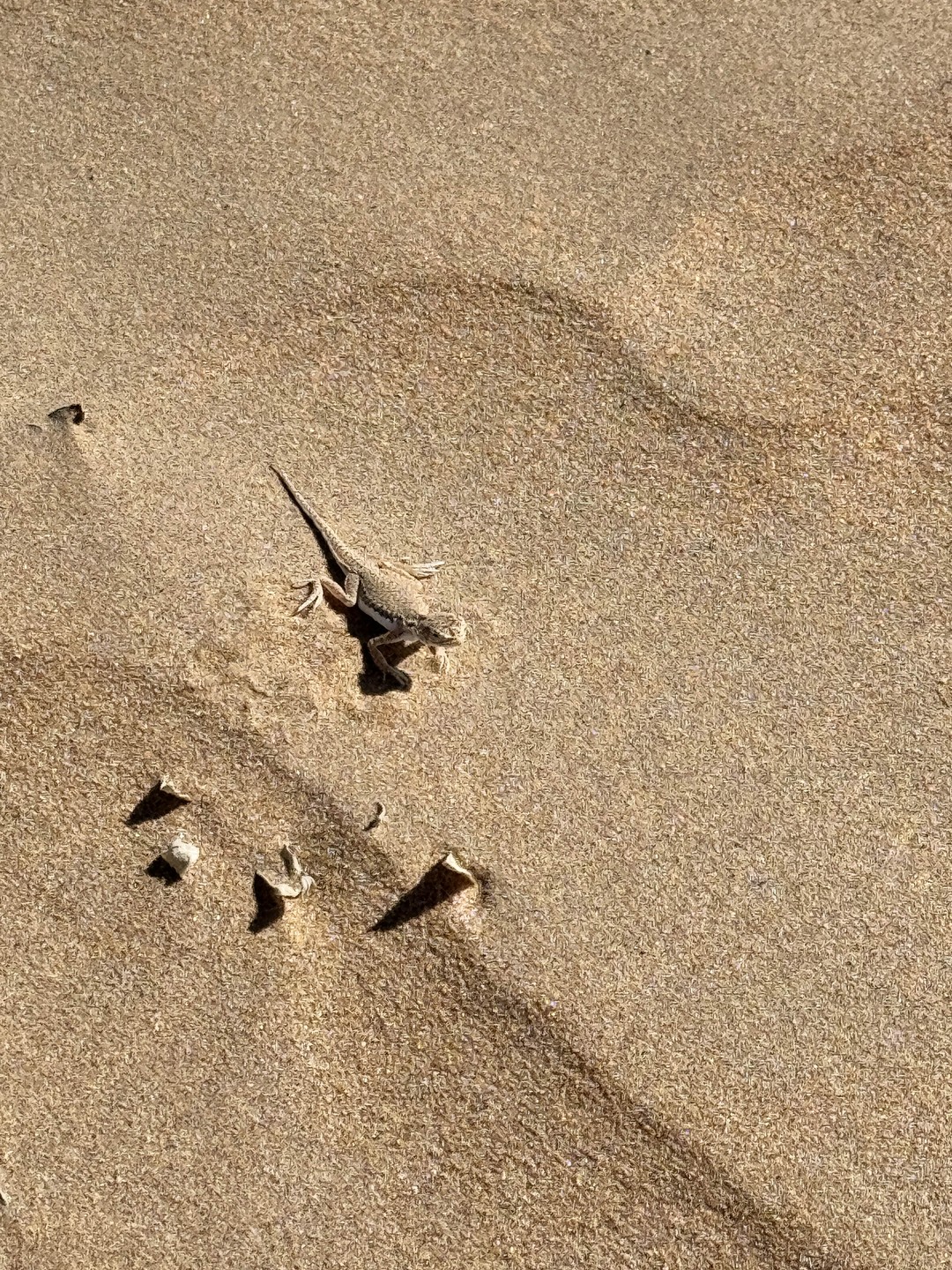 У нас был гид Бабаджан, встретили нас прям из аэропорта, на очень комфортном автомобиле. Сама экскурсия