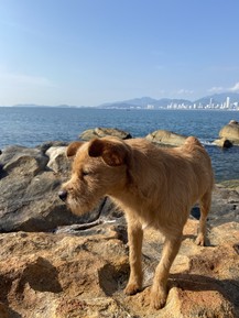 Фото отзыва 7: экскурсия ""