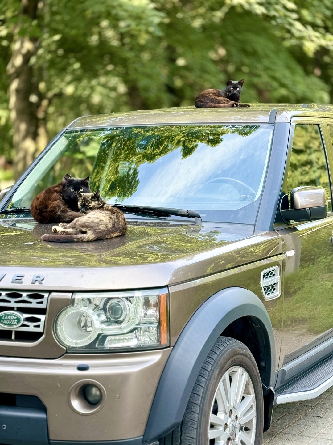 Путешествие по пляжам Балтийского моря для интровертов (Татьяна)