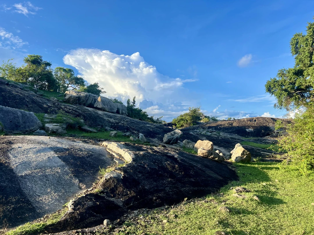 Очень рекомендую эту экскурсию. Дорога от отеля прошла незаметно: столько интересной истории, слушали втроем с 9-летним