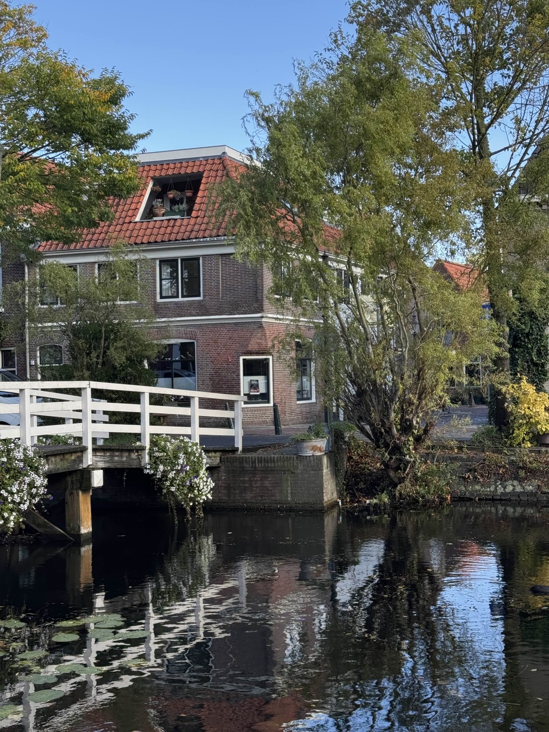 Велопрогулка по окрестностям Амстердама (Владимир)