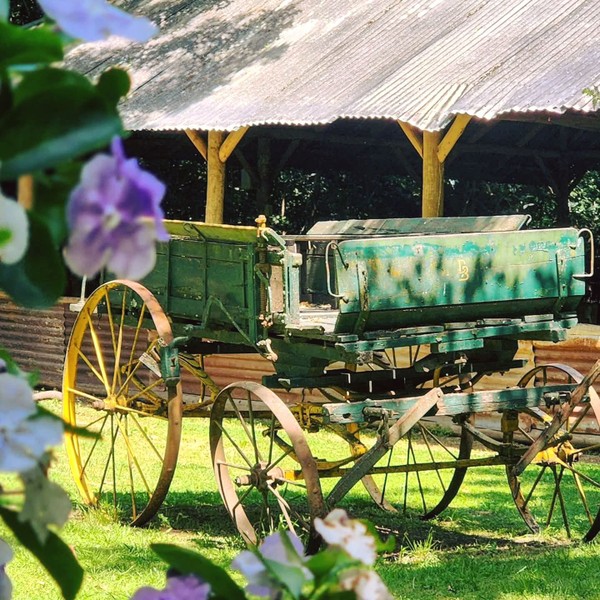 В гости к гаучо - хранителям традиций Аргентины (всё включено)