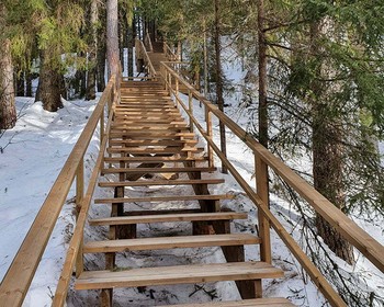 Прогулка по экопарку, саамская деревня, встреча нового года