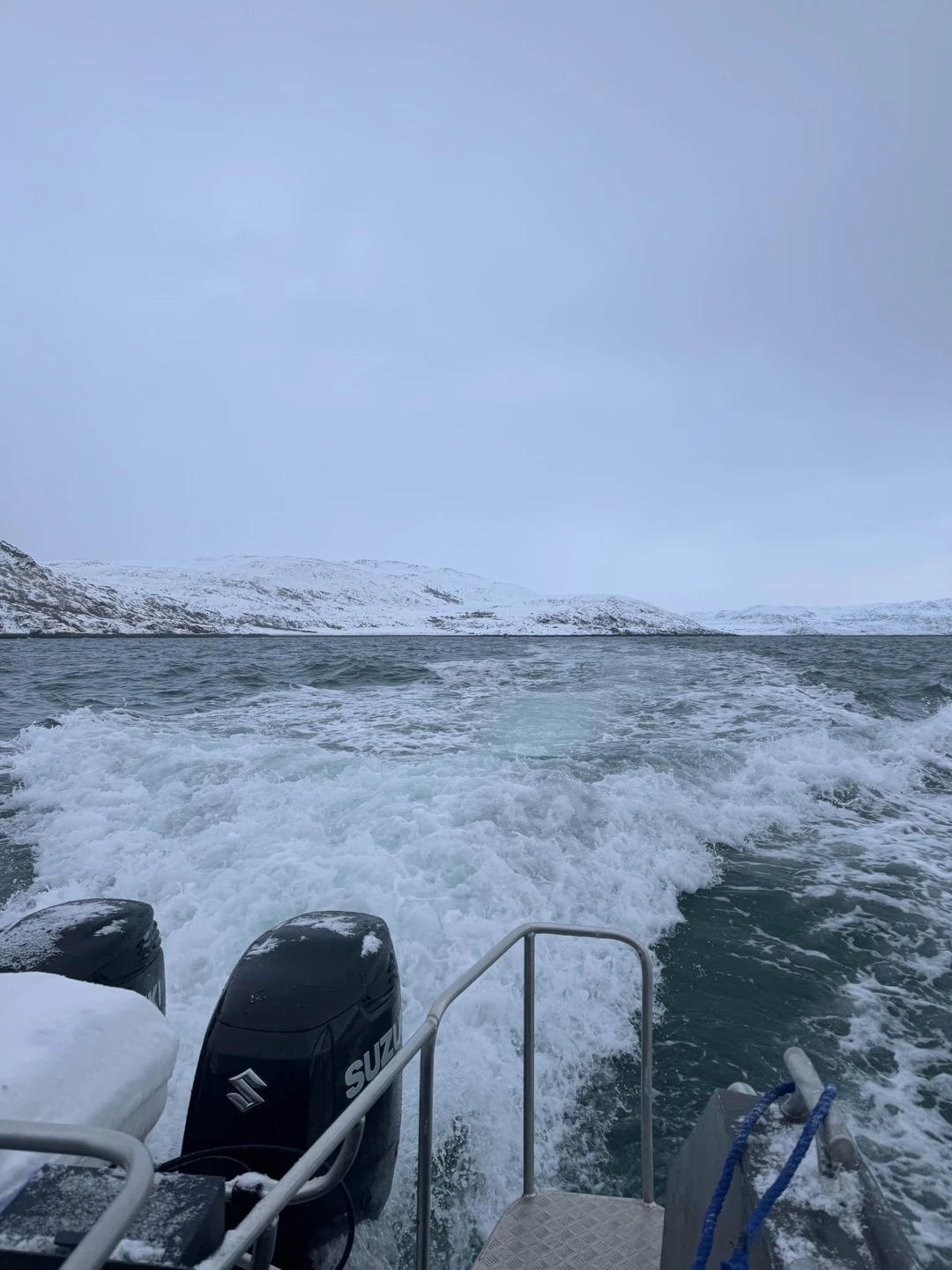 Спасибо большое капитану Кириллу! Хороший катер, теплая каюта. Китов не увидели, зато увидели тюленя и морских свинок))