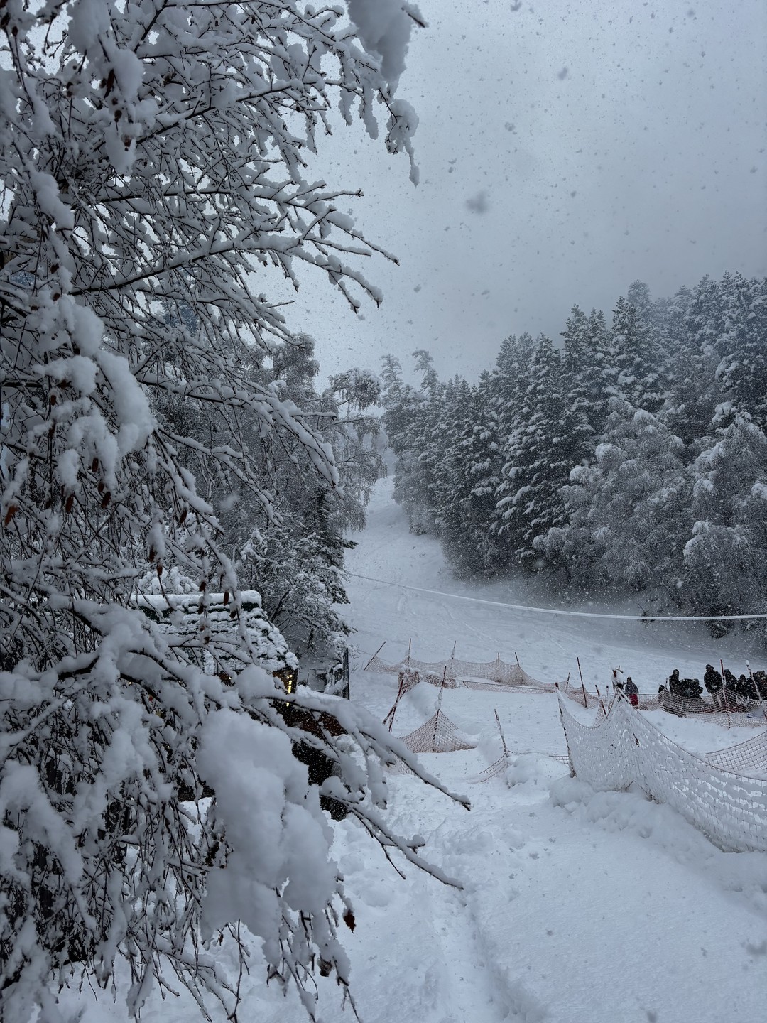 Понравилось все в этой поездке, Борис ответил сразу, всегда был на связи, забрал и доставил от