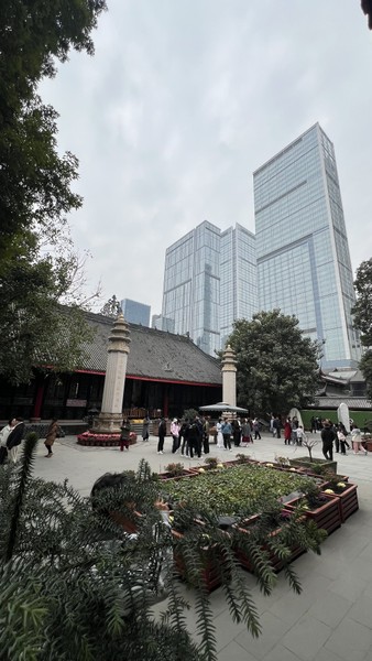 Ольга очень приятная собеседница. Поекрасно владеет информацией как исторической, так и современными фактами о жизни города