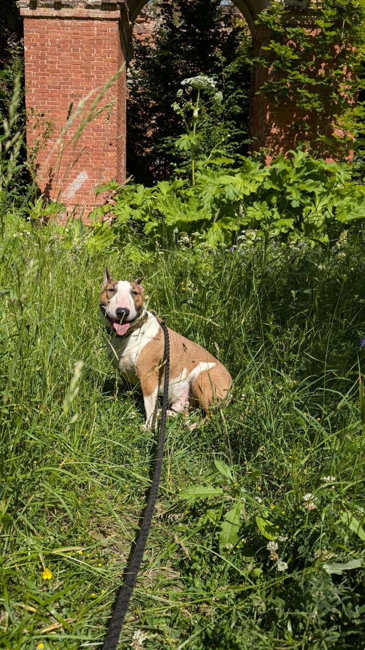 Экскурсия была адаптирована под наши запросы - преимущественно природные либо свободного посещения достопримечательности, а также наличие