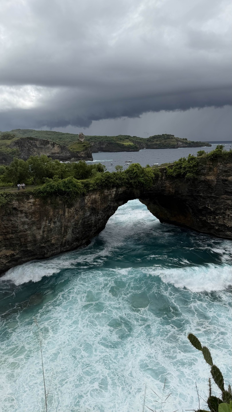 Организация на высоте! При бронировании ребята очень подробно все объяснили, помогли с организацией трансфера от/до порта