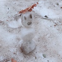 Фото отзыва 1: экскурсия "Треккинг к хребту Аибга и трём курортам Красной Поляны"