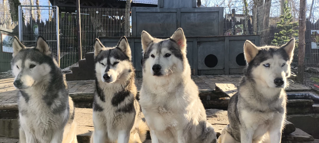 Хочу выразить благодарность Сюзанне за замечательную экскурсию с индивидуальным подходом. Полная ориентированность на клиента. Сюзанна забрала