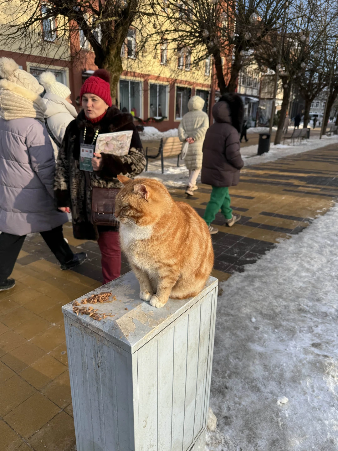 Очаровательные Светлогорск и Зеленоградск (Елена)