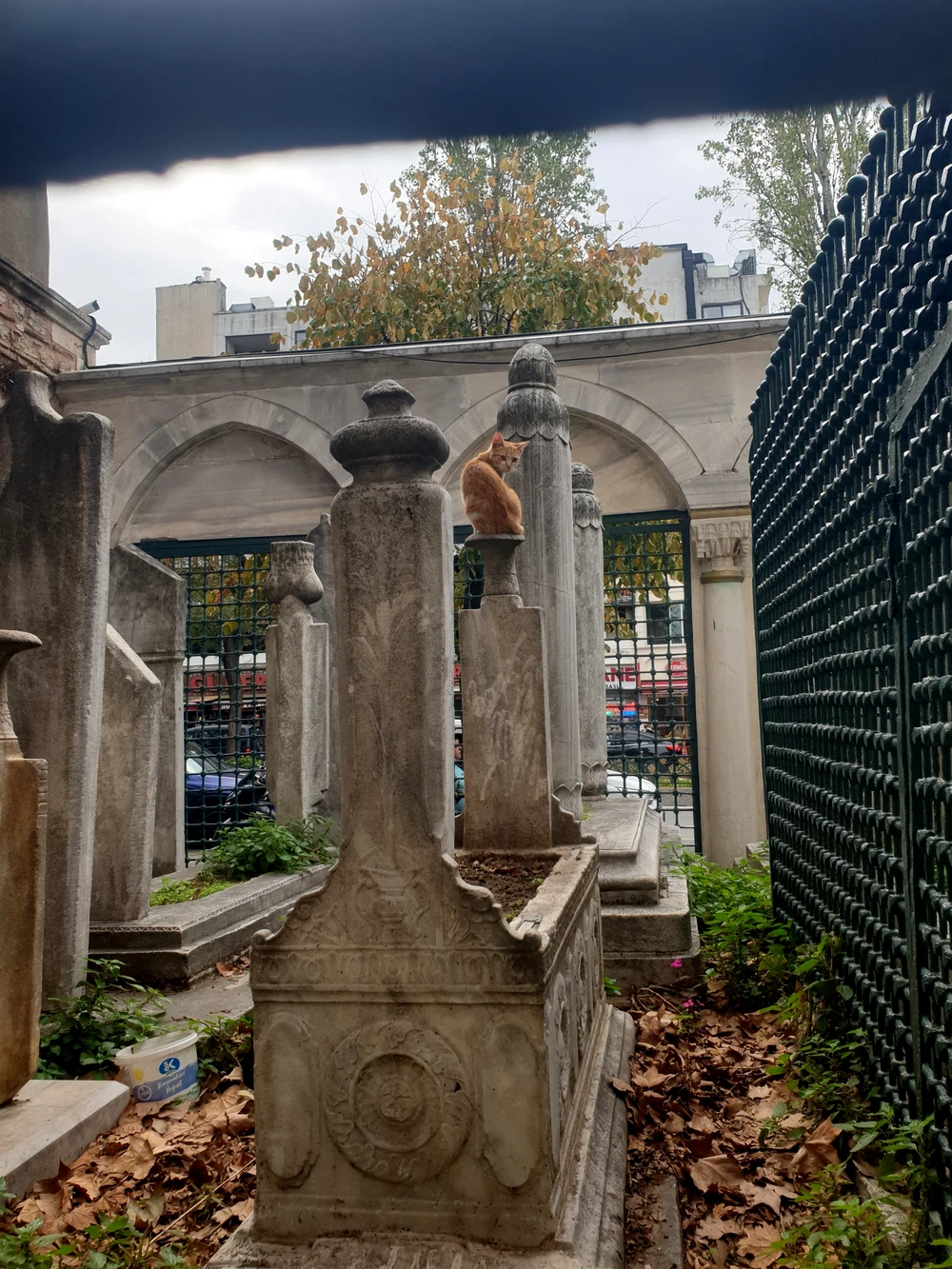 Стамбул настоящий — в Фатихе (8/11)