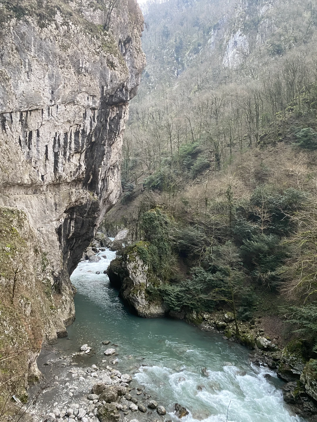 Красная Поляна «под ключ» на премиум-авто из Сочи (Андрей)