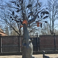 Фото туриста Татьяна 2 - Путешествие из Петербурга в Кронштадт