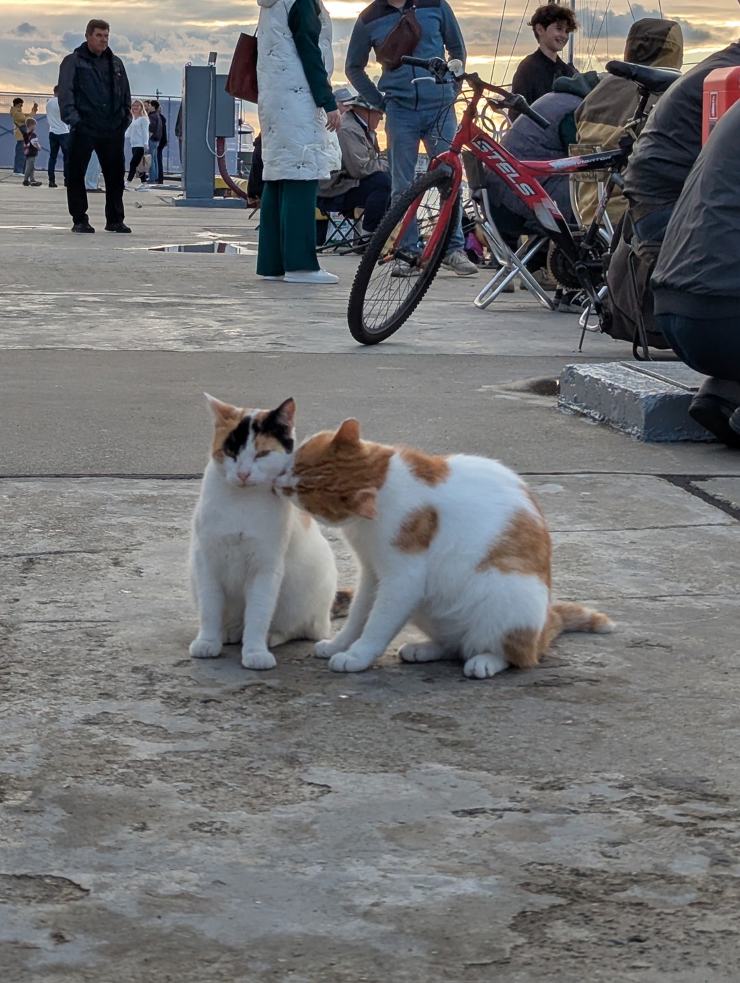 Сочи глазами местных (Кира)