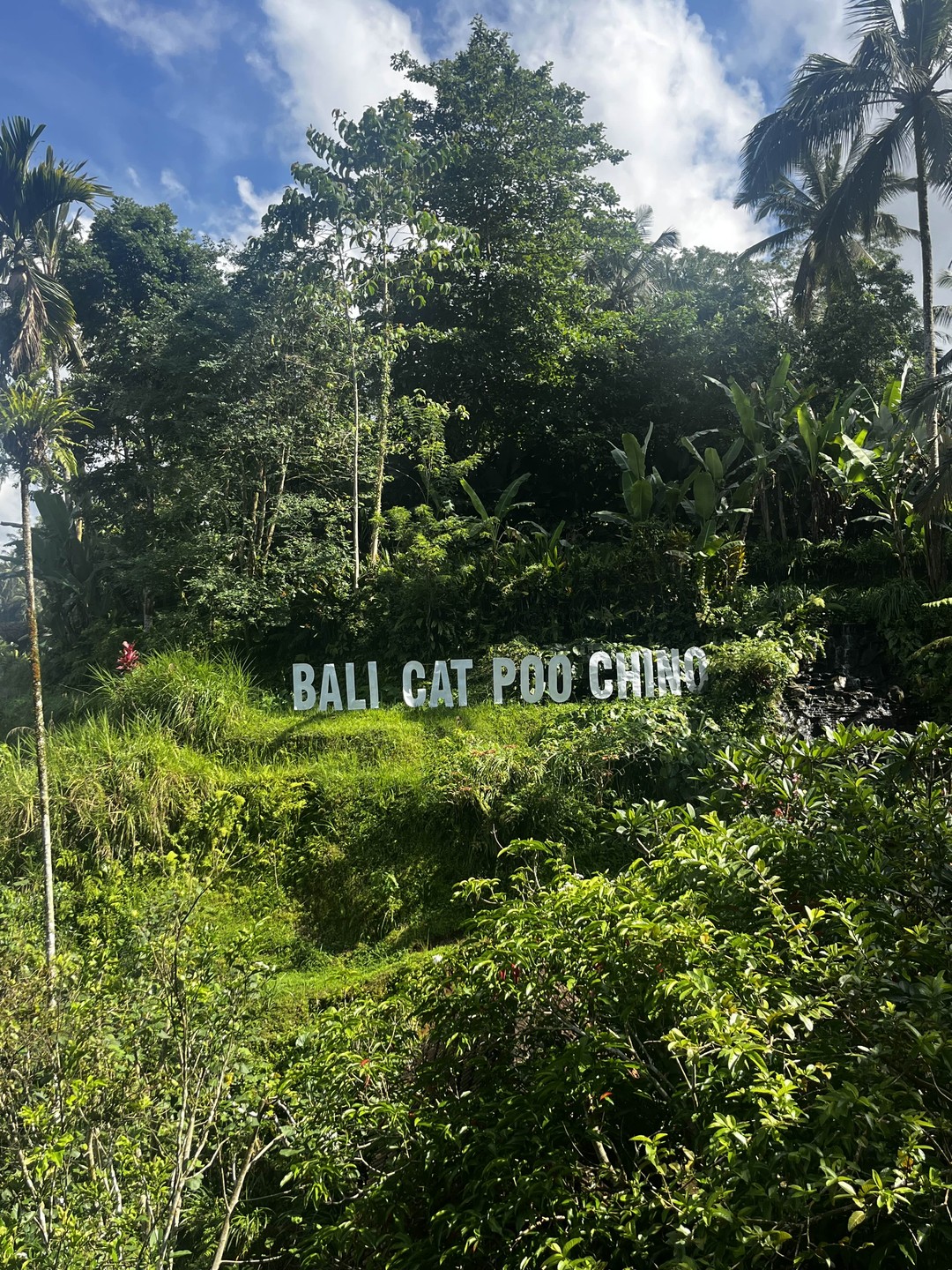 Покорить вулкан Батур на джипе (Александр)