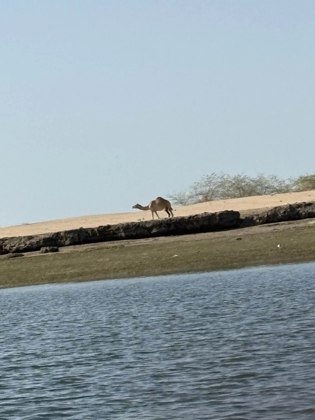 Лана из команды Константина провела для нас экскурсию по Рас эль Хайме в соответствии с нашими