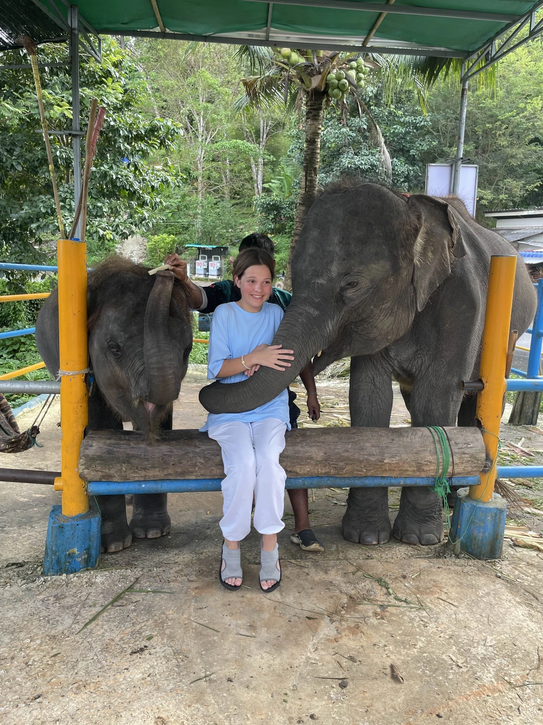 Хотим сказать огромное спасибо Владимиру за экскурсию "Пхукет и неизвестный буддизм"
