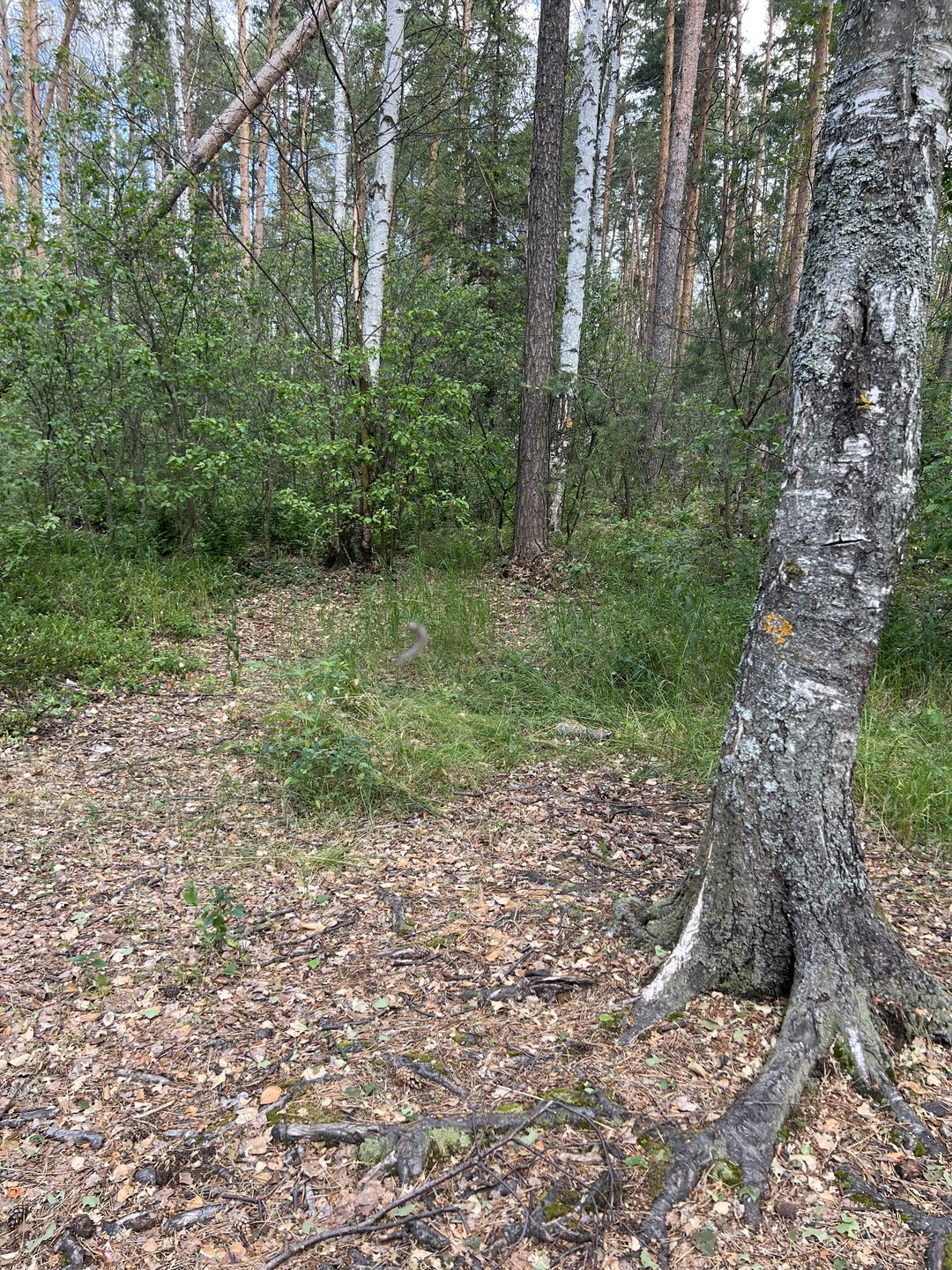 Провели восхитительный день на природе! Велопрогулка по озерам очень понравилась всем. Прекрасно организовано, подготовлено, маршрут удобный,