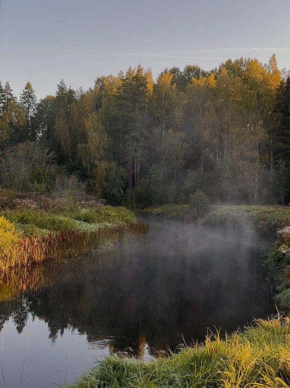 На сапбордах по реке Оредеж