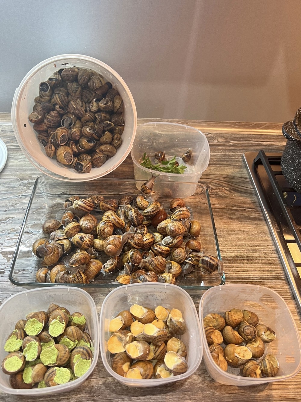 В гостях у винодела в Сочи (мини-группа) (16/21)