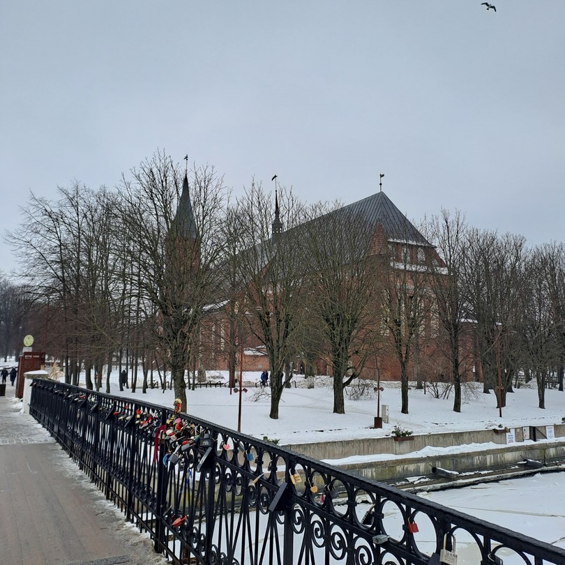 Инна чудесный экскурсовод. Совершенно случайно наткнулась на её профиль, и экскурсия «Сердце Кёнигсберга» сразу зацепила. Хоть